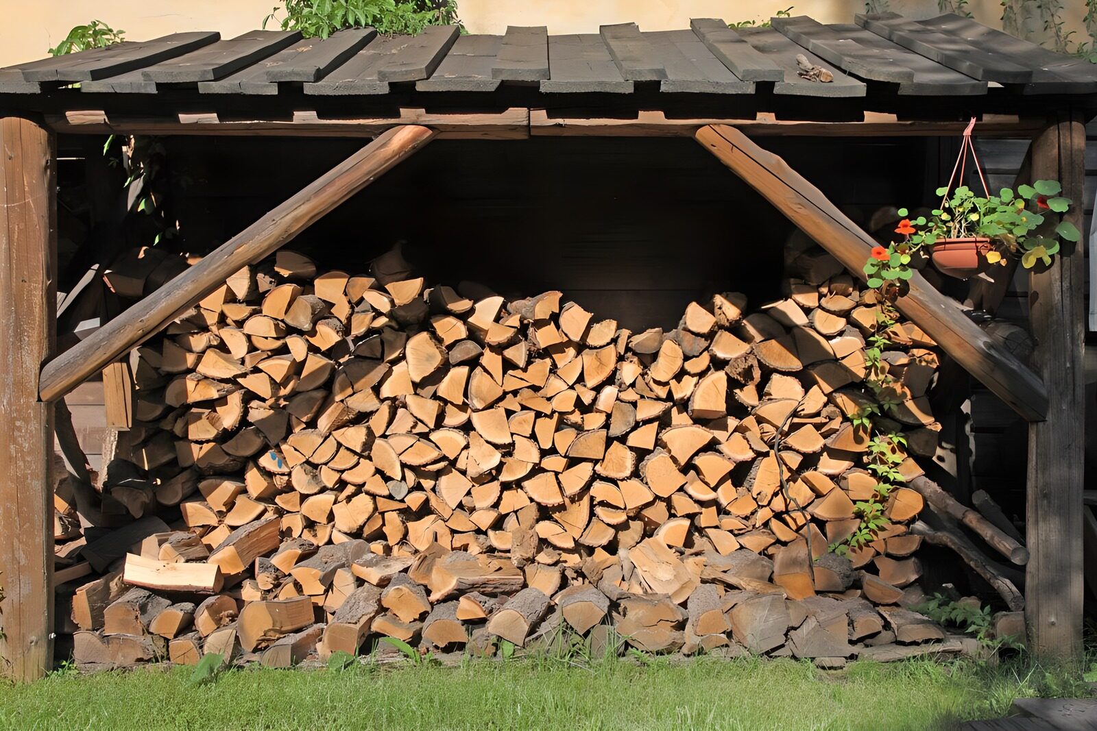 TPFR54171: : Abri de bois bien organisé