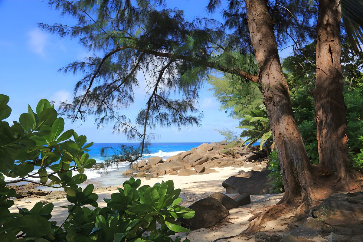 TPFR61081: Plage paisible au bord de l'eau