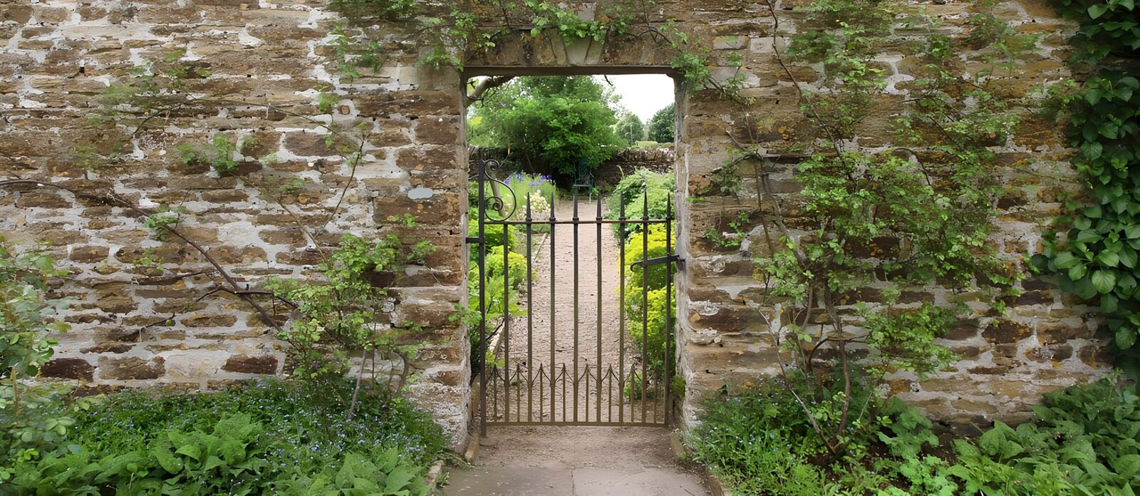 TPFR29256: Porte rustique au jardin