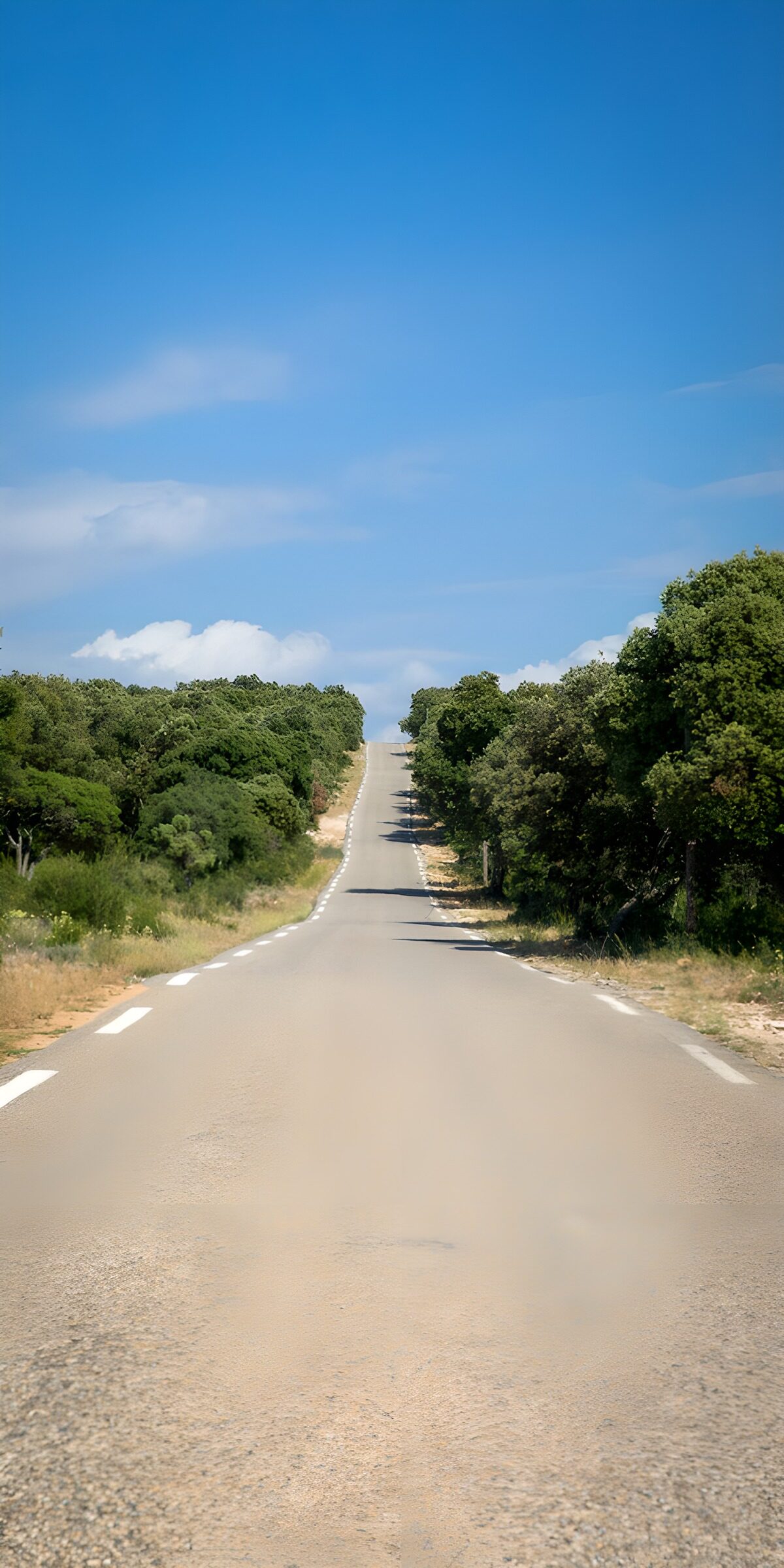 TPFR58234: Route paisible à travers la nature
