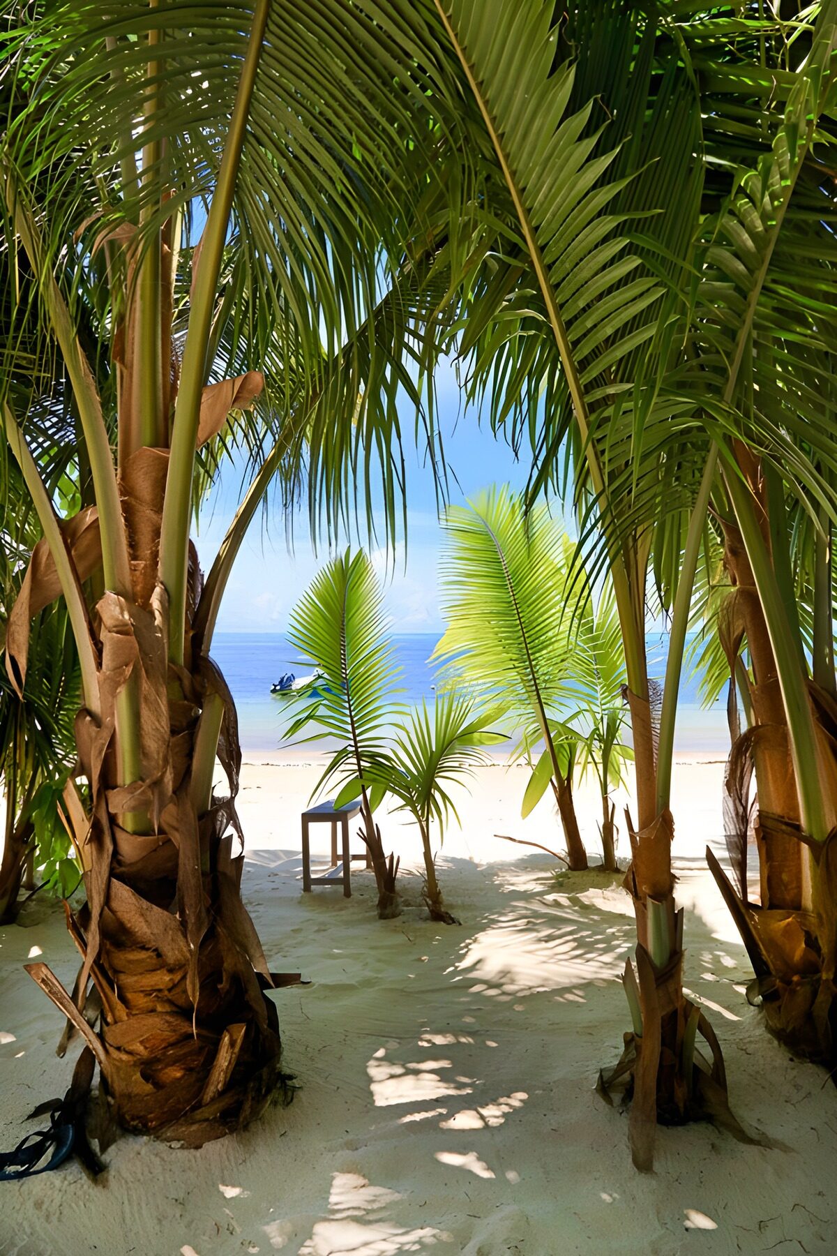TPFR11592: Havre de paix tropical