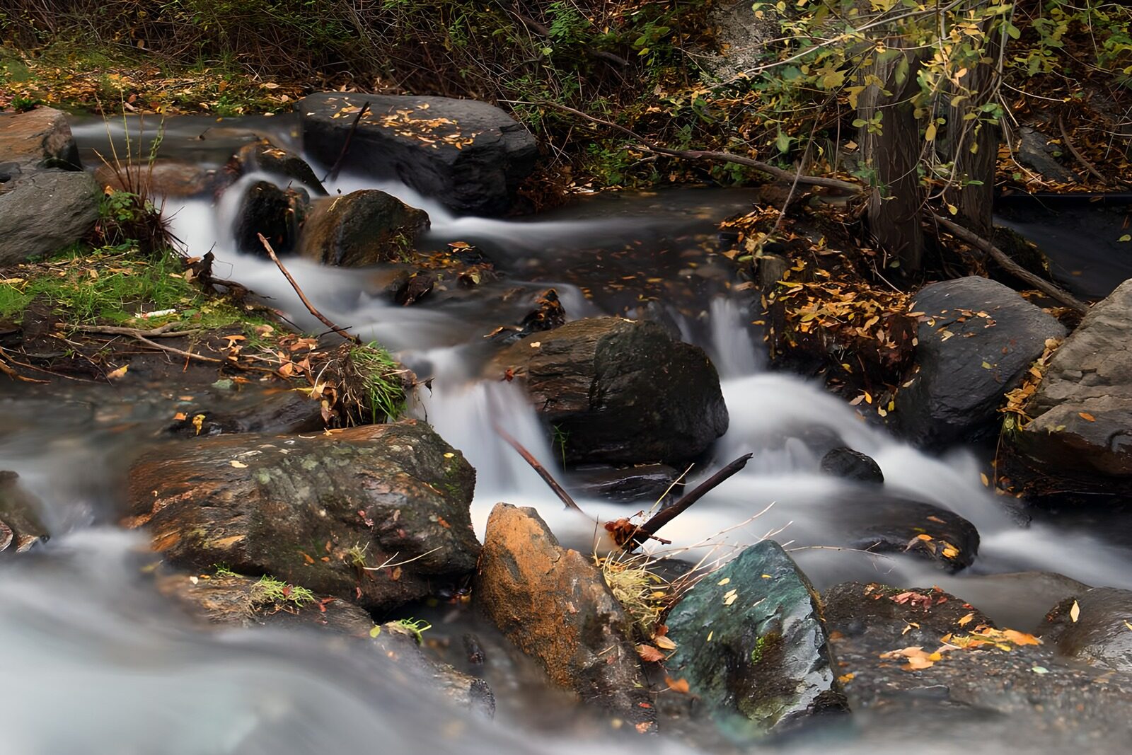 TPFR32822: Ruisseau paisible en automne