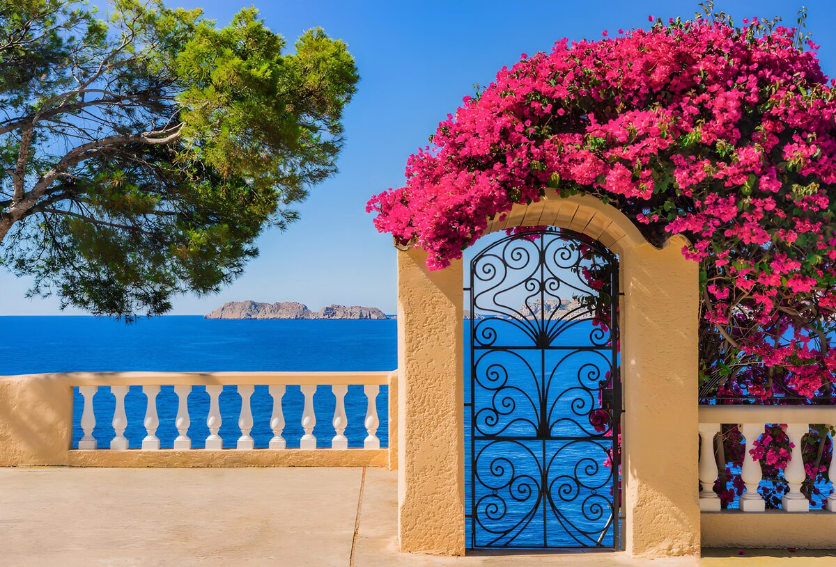 TPFR56550: Portail fleuri sur la mer azur