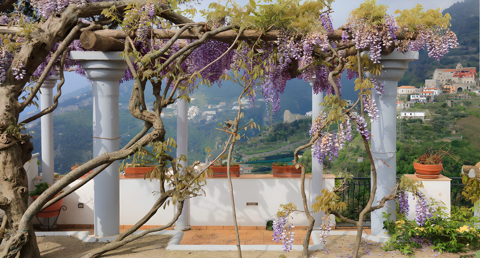 TPFR70101: Pergola fleurie avec vue panoramique
