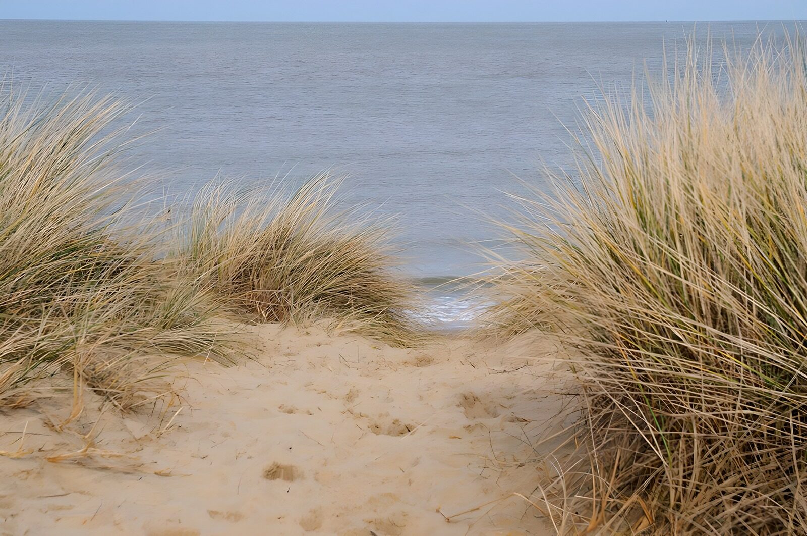 TPFR12960: Plage paisible au bord de l'eau