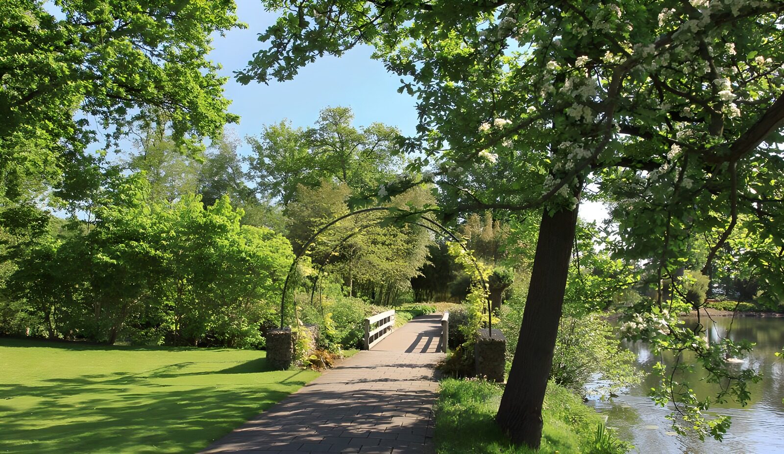 TPFR23462: Parc verdoyant au bord de l'eau