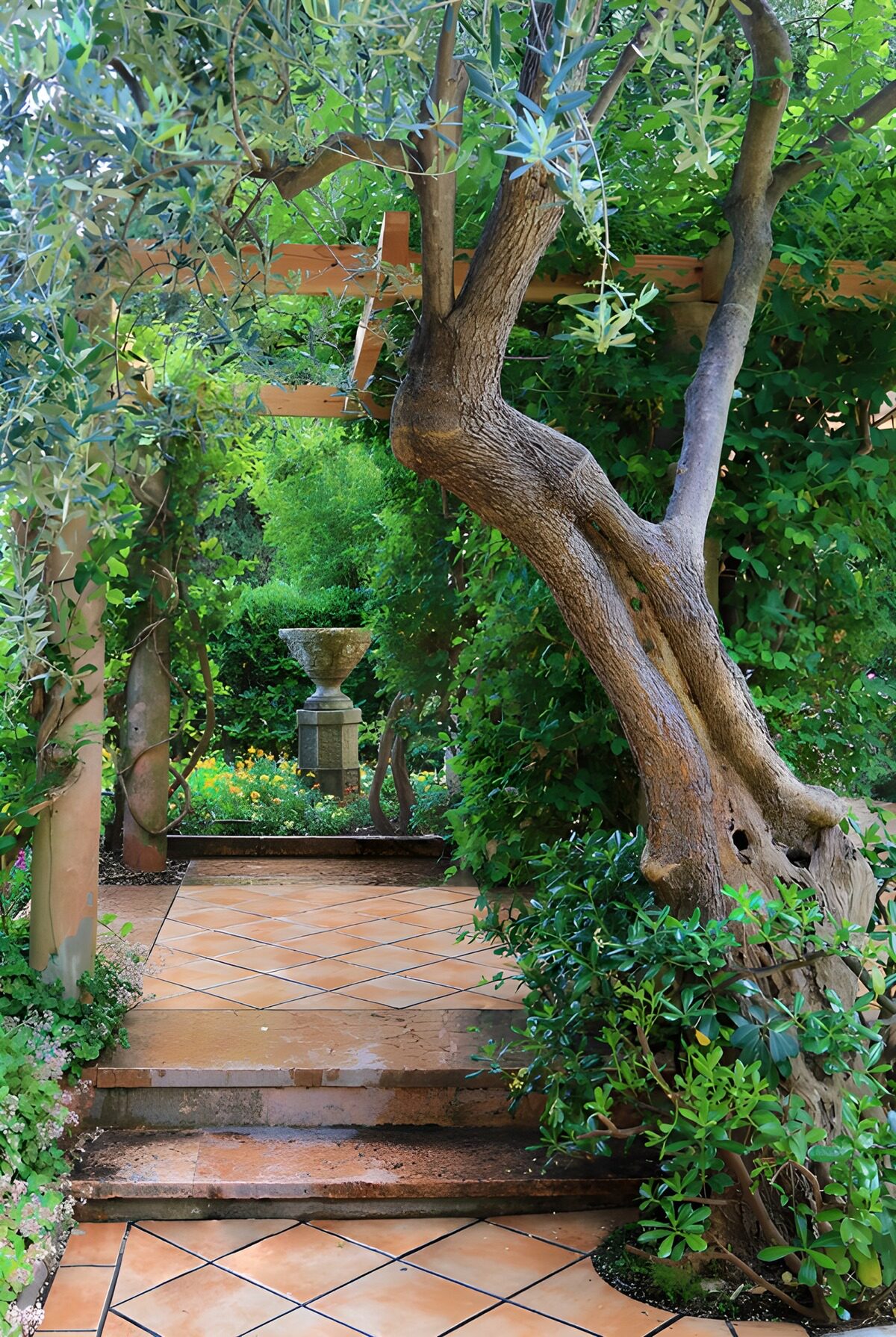 TPFR68114: Chemin dans un jardin verdoyant