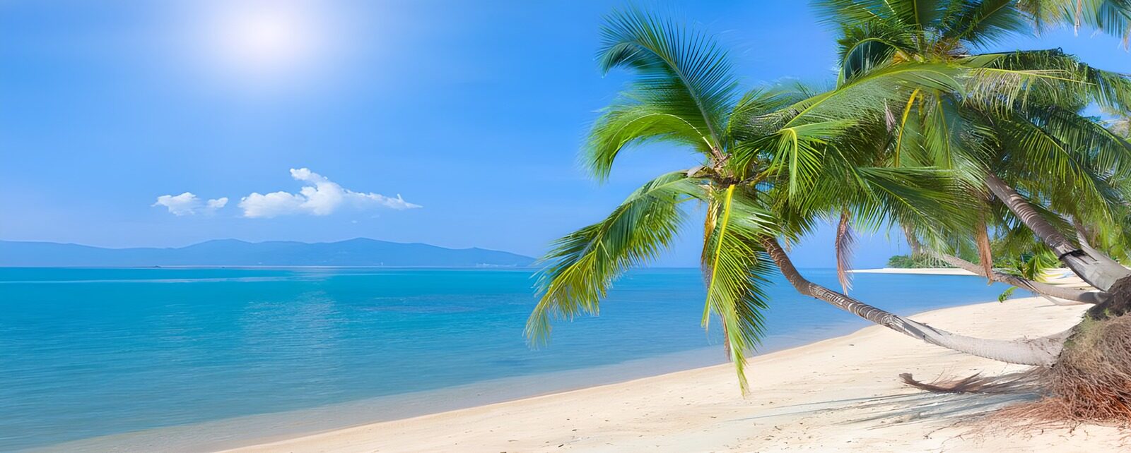 TPFR16295: Plage paradisiaque au bord de l'eau