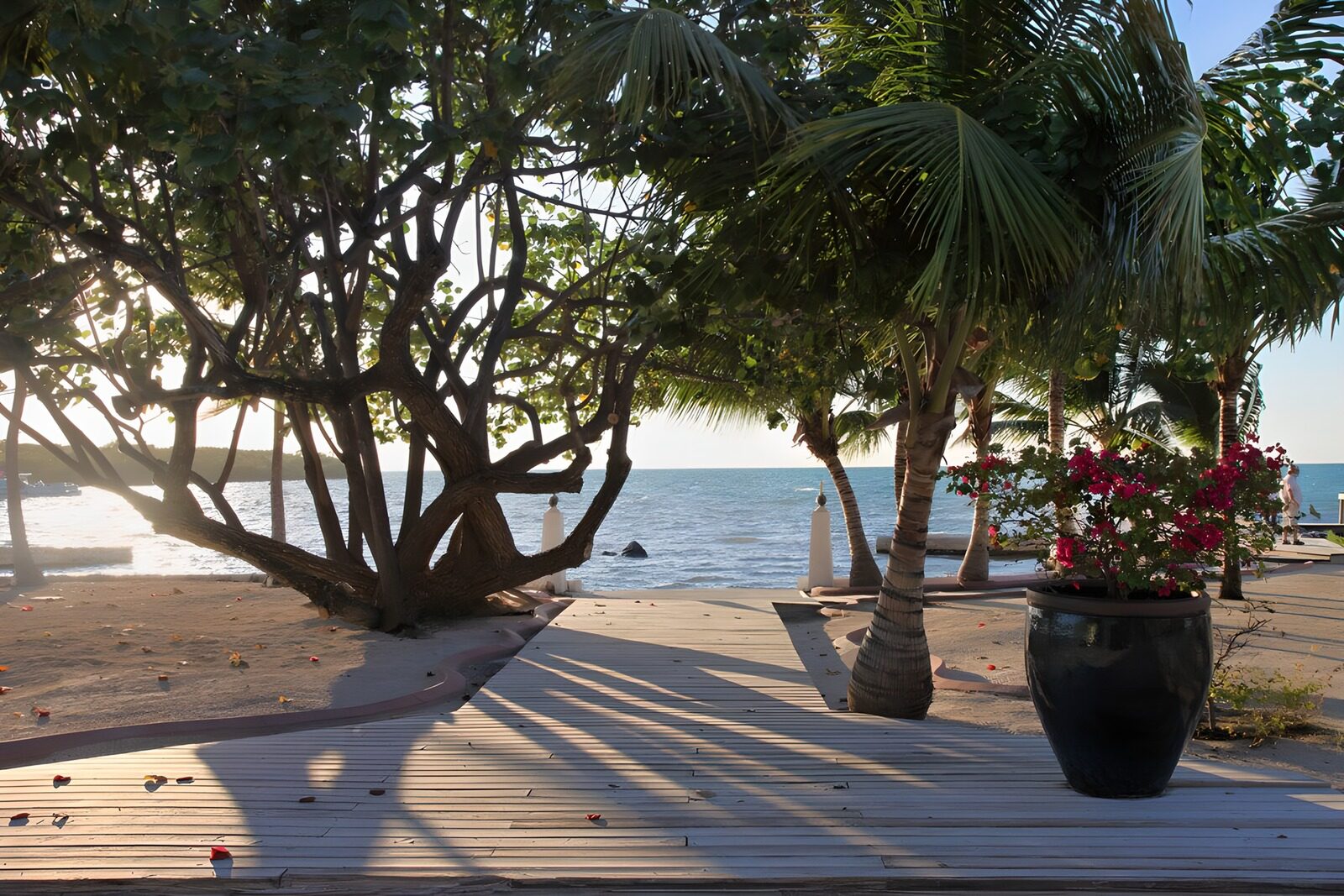 TPFR48784: Plage tranquille au crépuscule