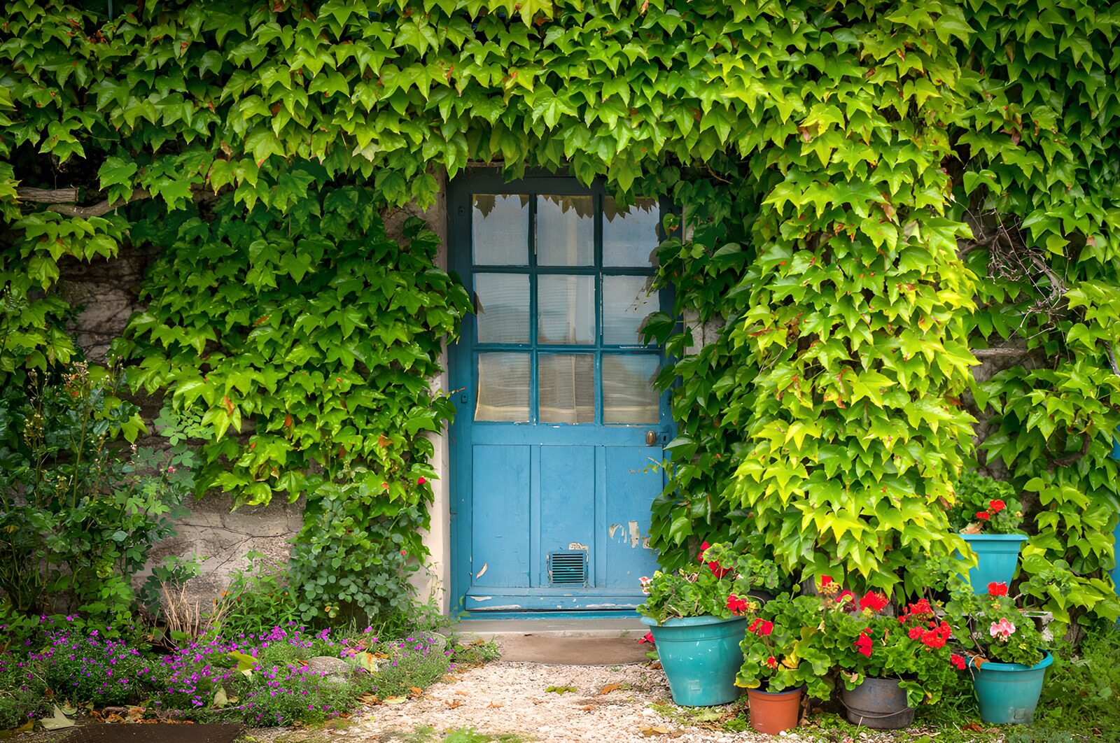 TPFR16644: Porte bleue entourée de verdure
