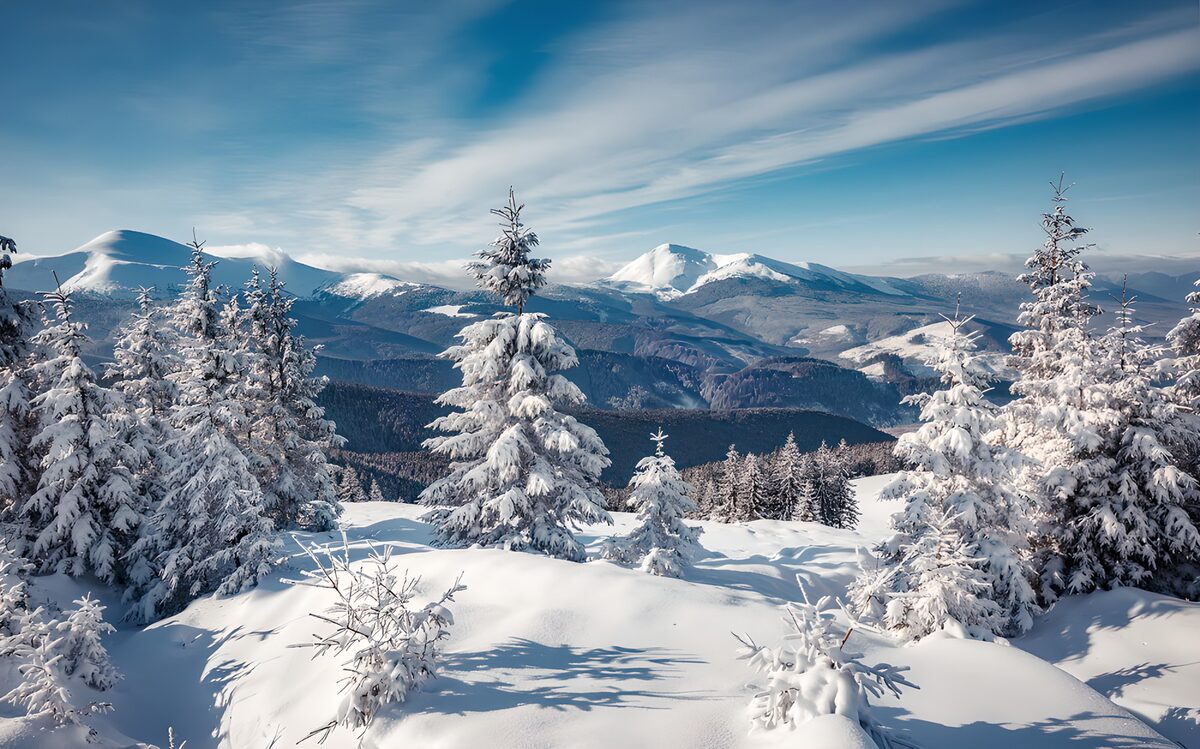 TPFR18185: Paysage hivernal apaisant