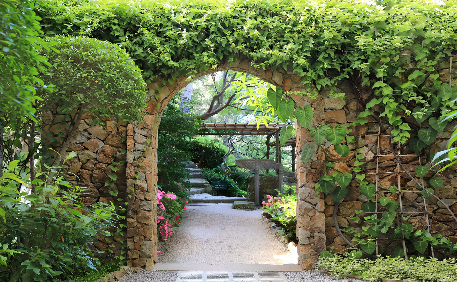 TPFR82308: Portail verdoyant vers un jardin secre