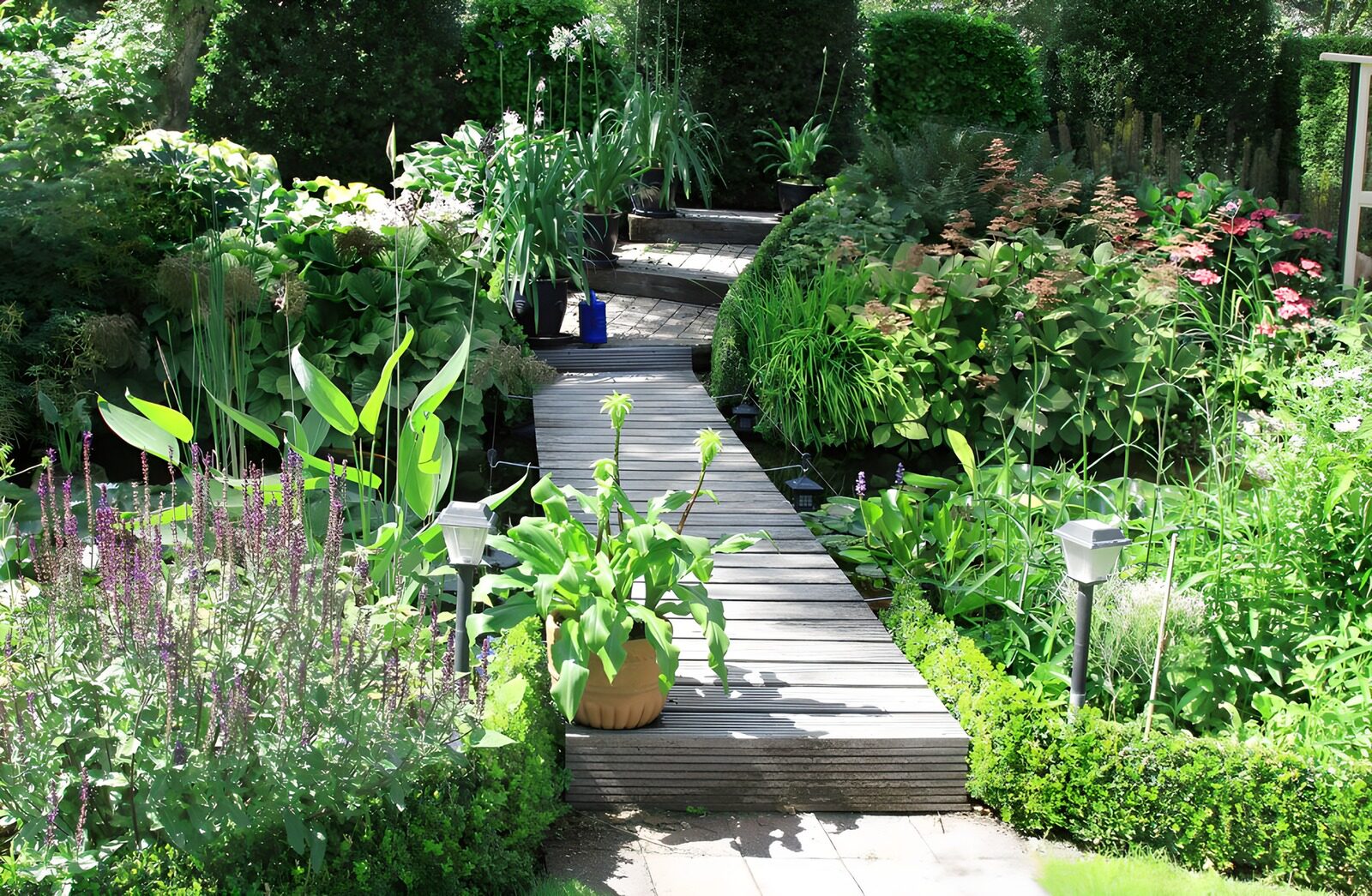 TPFR85914: Ponton surplombant un étang dans un jardin botanique
