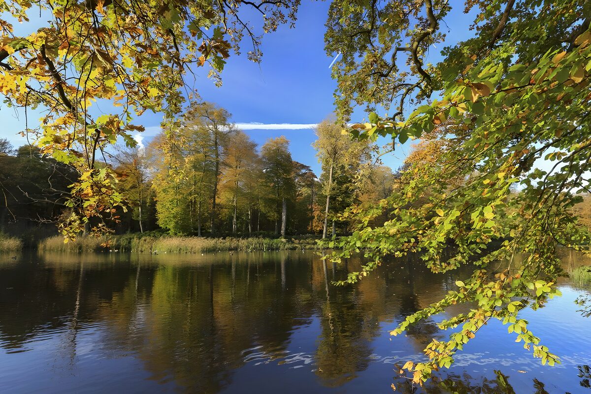 Reflet d'automne dans la nature calme