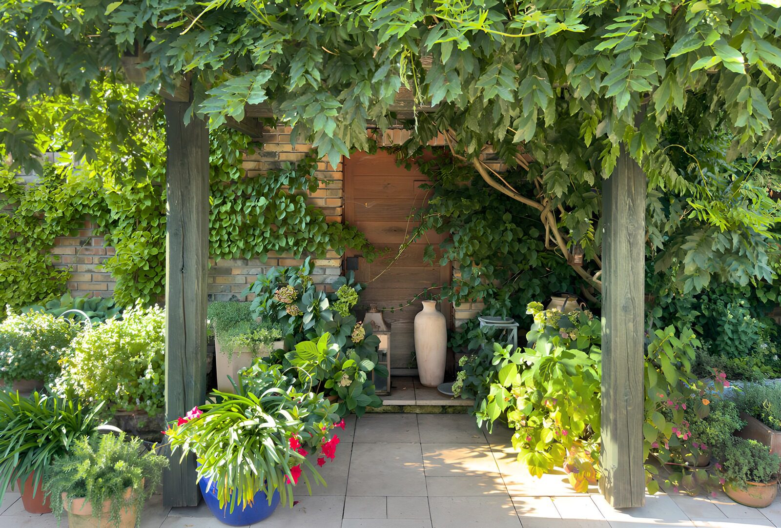 TPFR16693: Jardin luxuriant sous une pergola