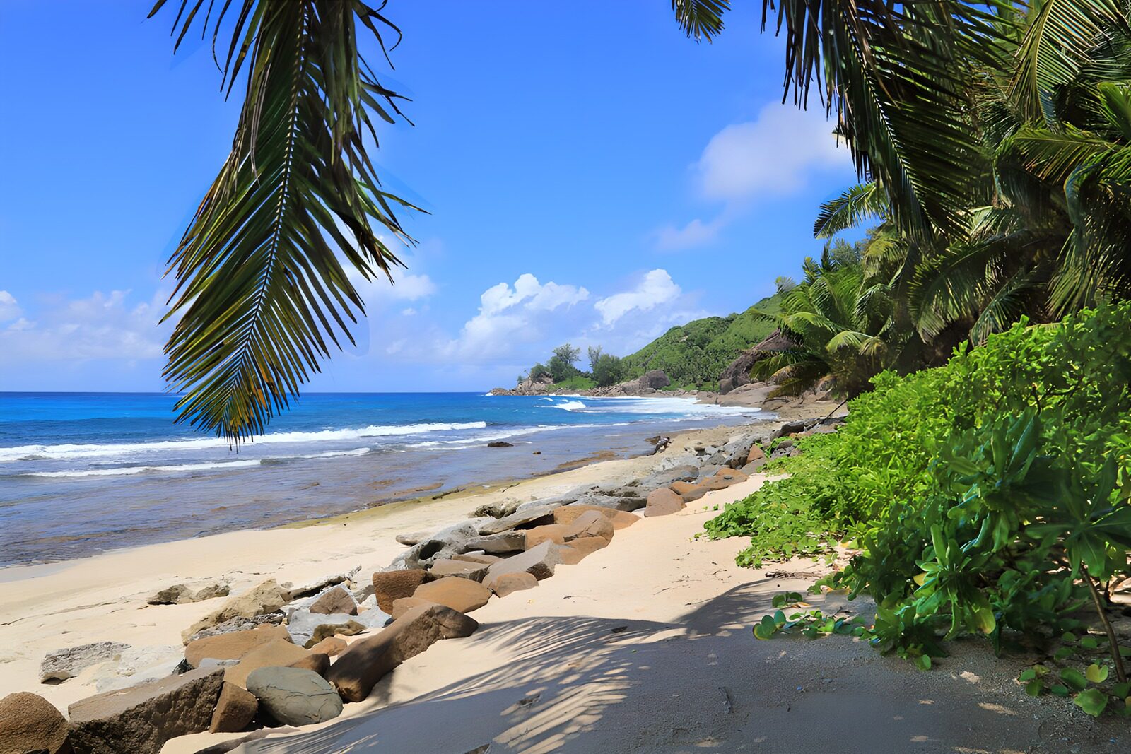TPFR92881: Plage tropicale tranquille et ensoleillée