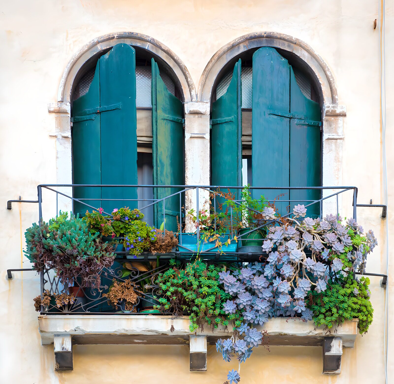 TPFR84868: Balcon fleuri à volets verts