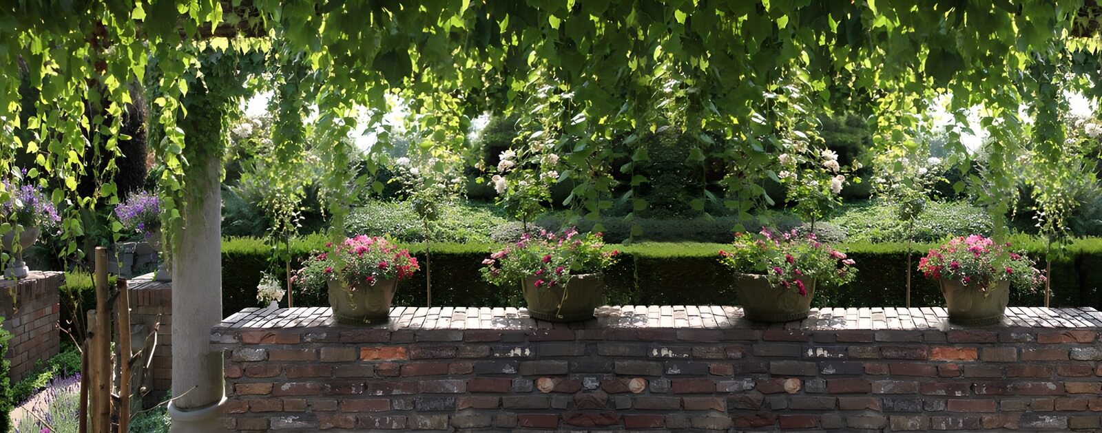 TPFR43647: Jardin paisible sous les feuilles