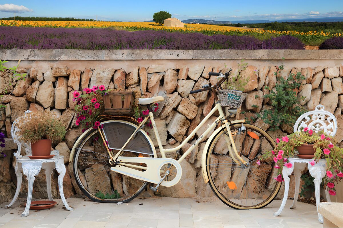 TPFR37265: Bicyclette vintage en fleurs