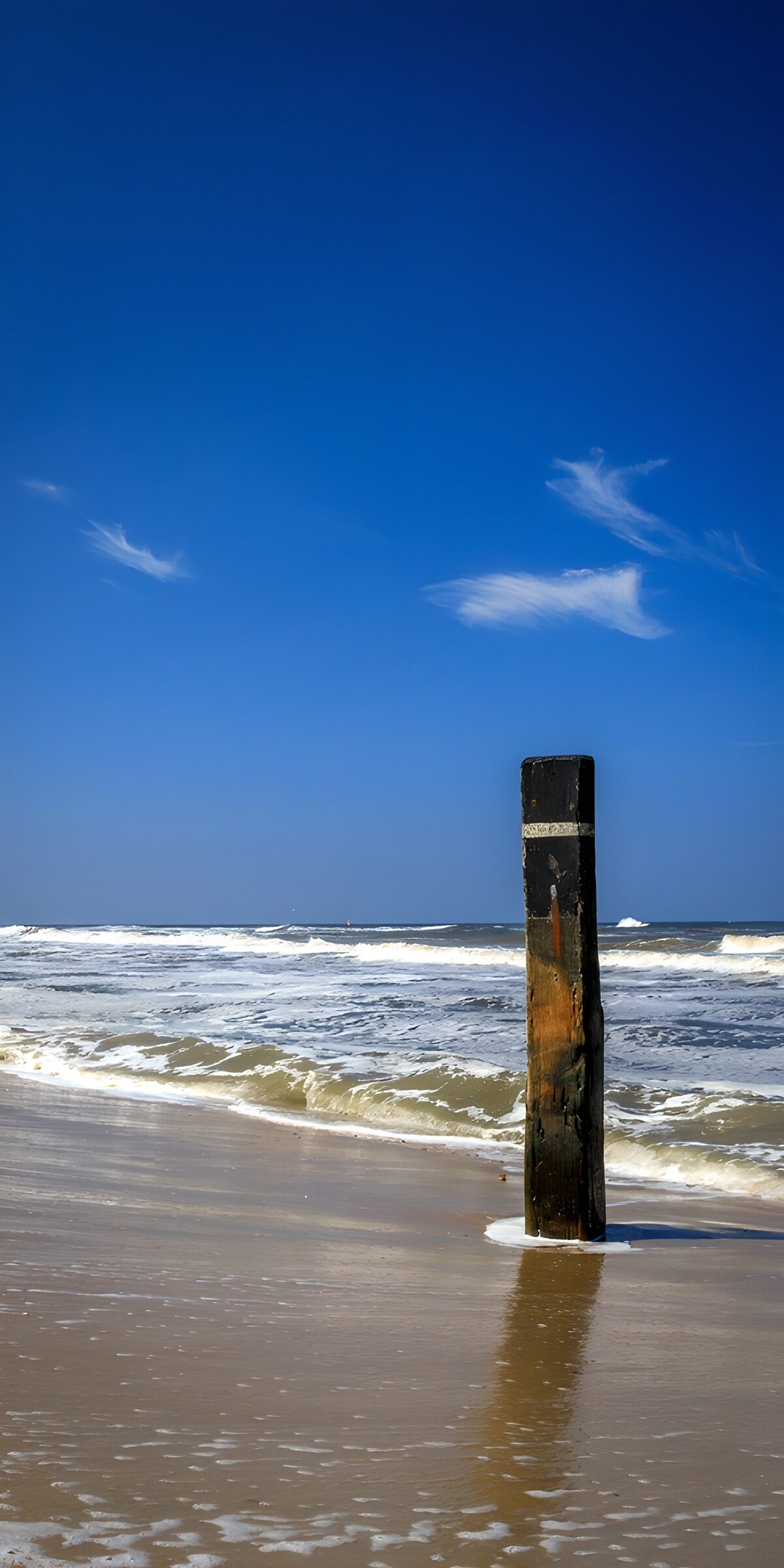 TPFR43538: Pieu de bois sur la plage