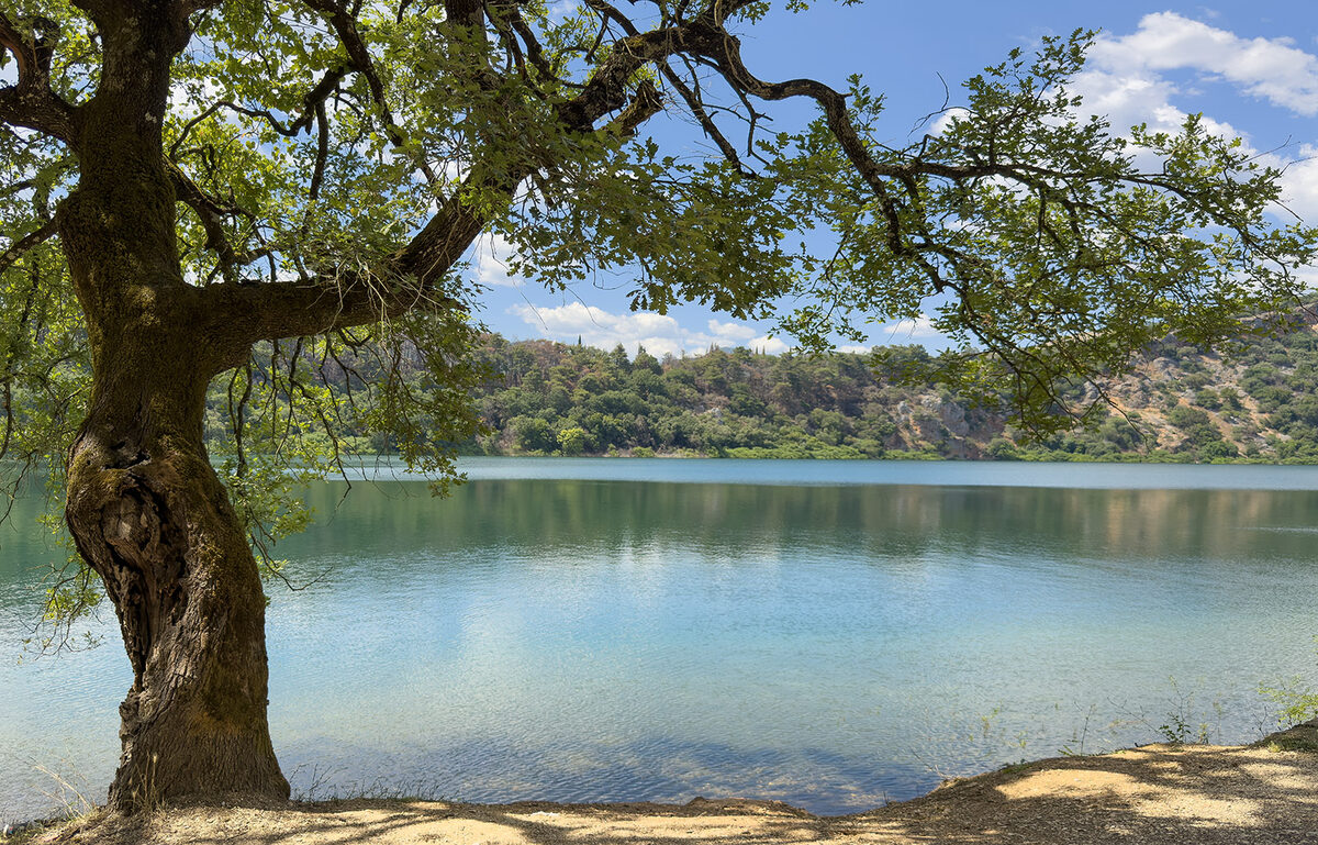 TPFR39717: Rive ombragée et lac