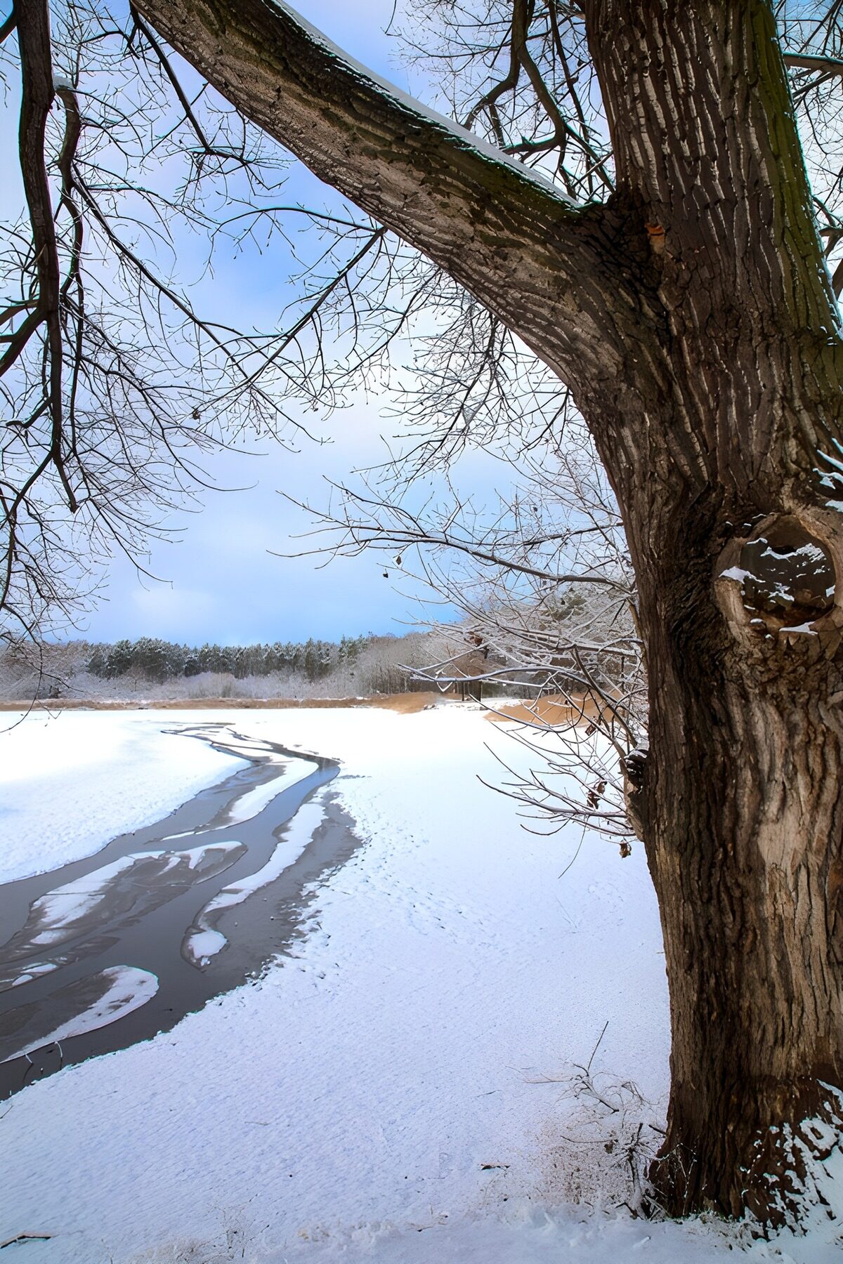 TPFR62128: Paysage hivernal tranquille