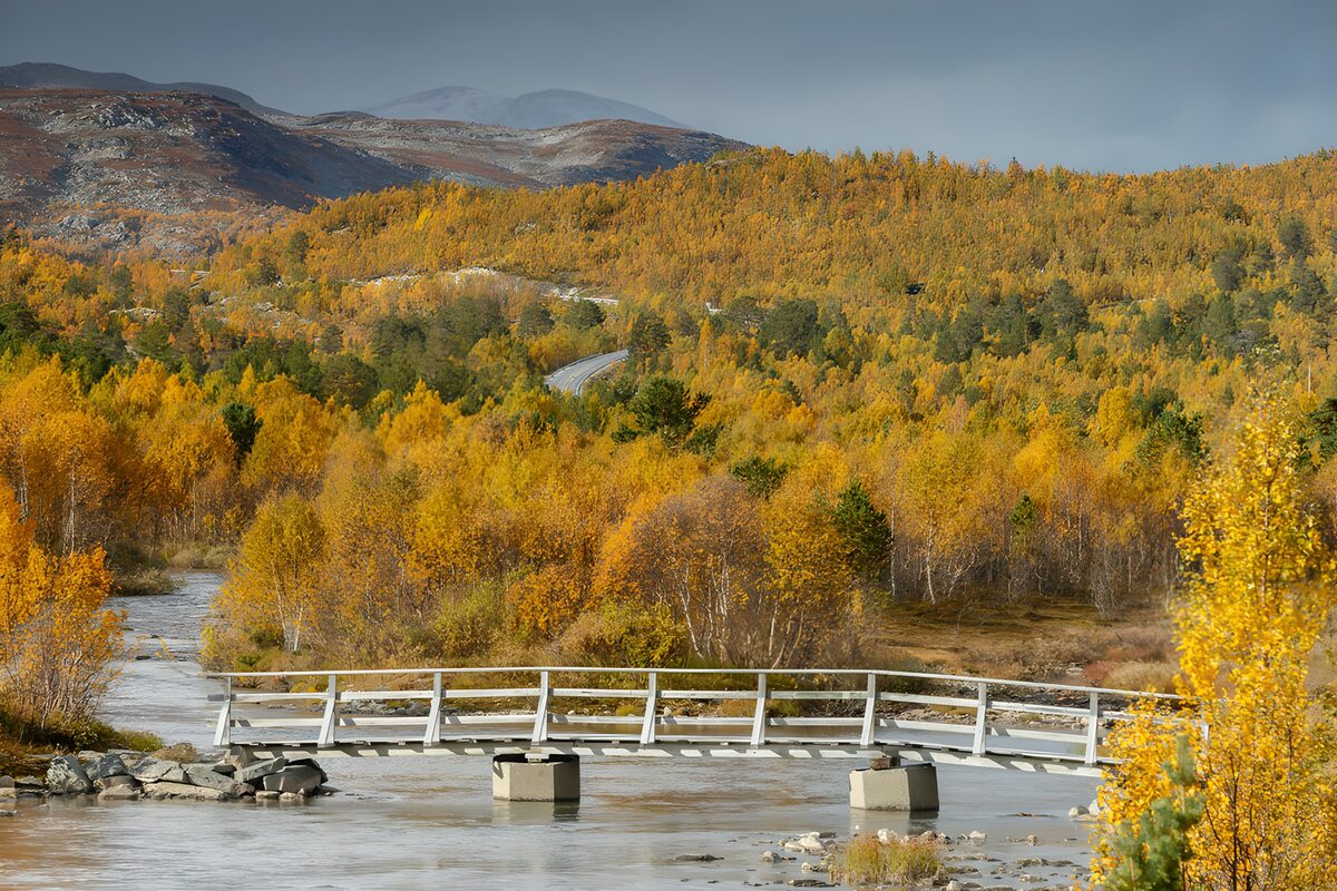 TPFR23468: Pont pittoresque au cœur de l'automne
