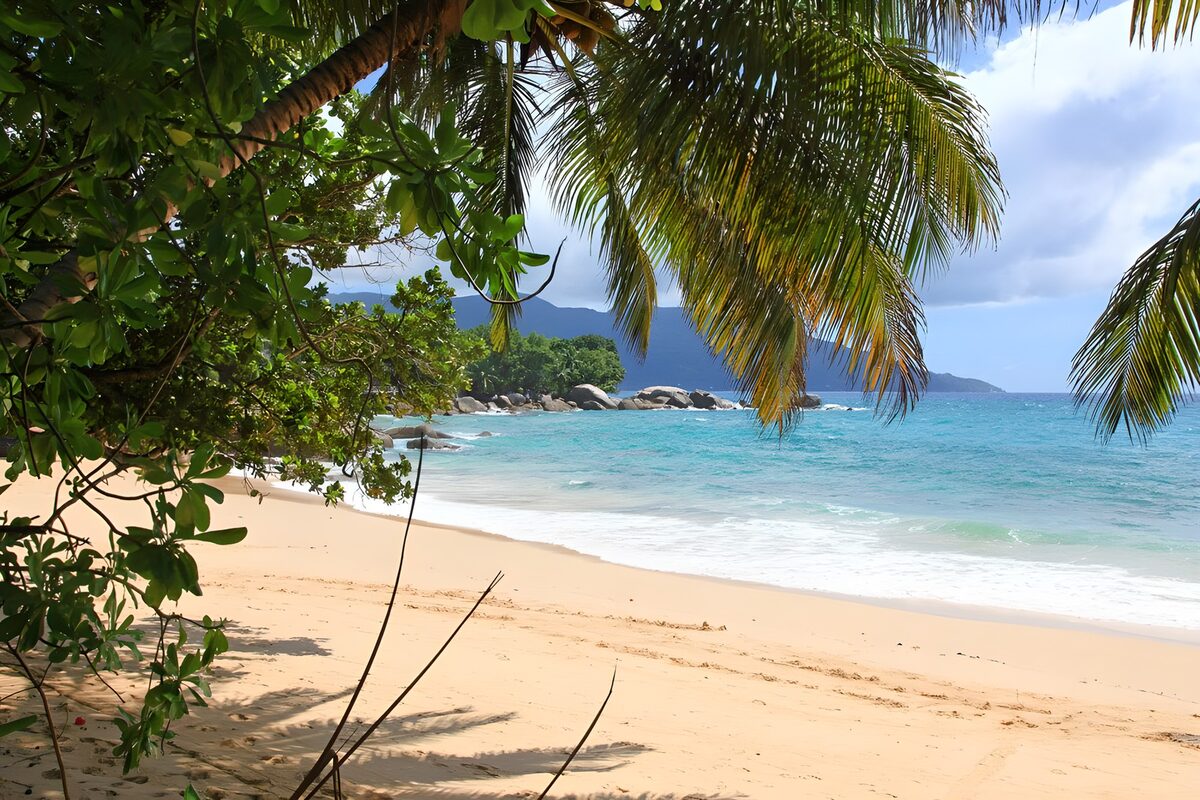 TPFR42298: Plage paisible sous les palmiers