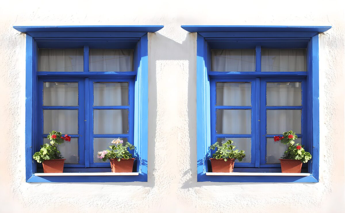 TPFR67495: Fenêtres bleues avec fleurs colorées