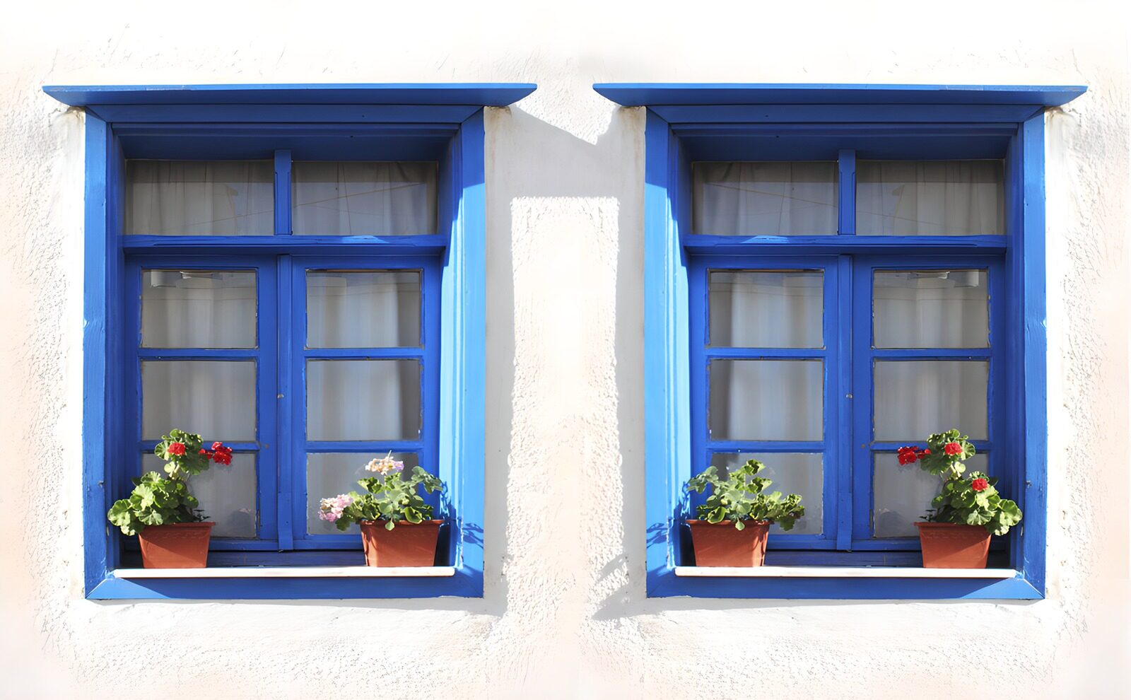 TPFR67495: Fenêtres bleues avec fleurs colorées