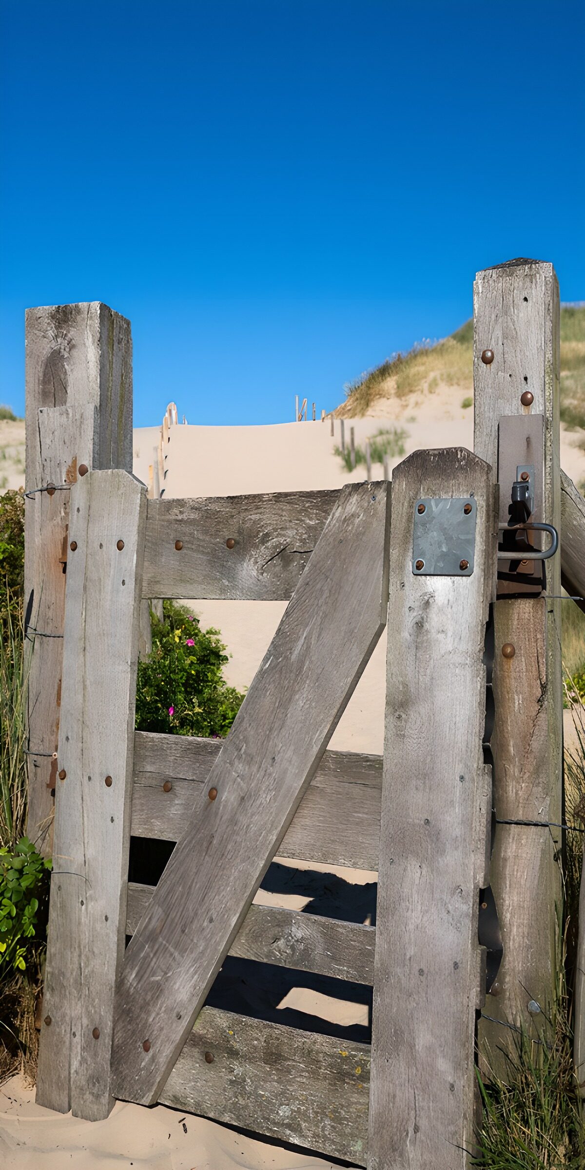 TPFR69629: Portail de plage à travers les dunes