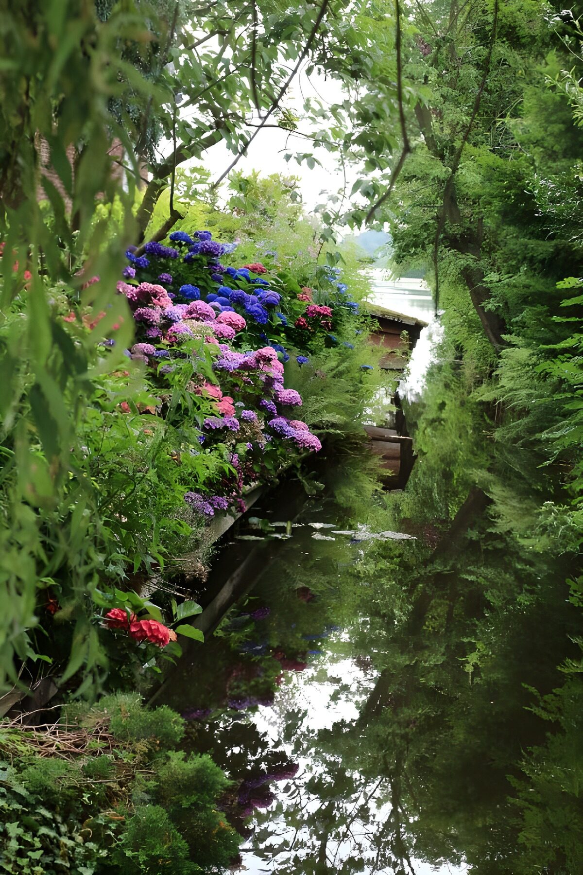 TPFR97245: Jardin fleuri au bord de l'eau