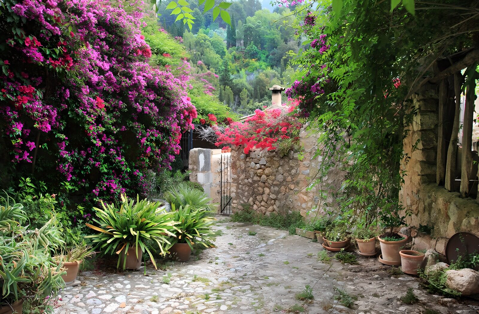 TPFR13826: Jardin fleuri et mur de pierre