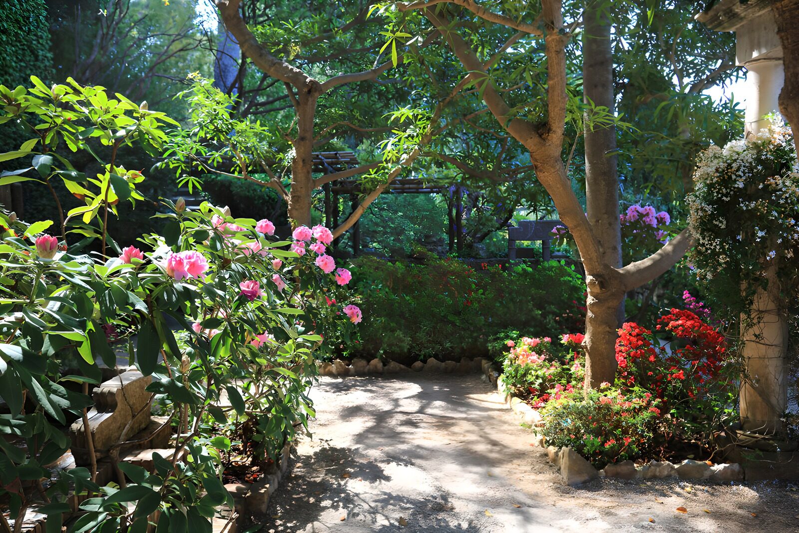 TPFR77590: Jardin fleuri en lumière douce
