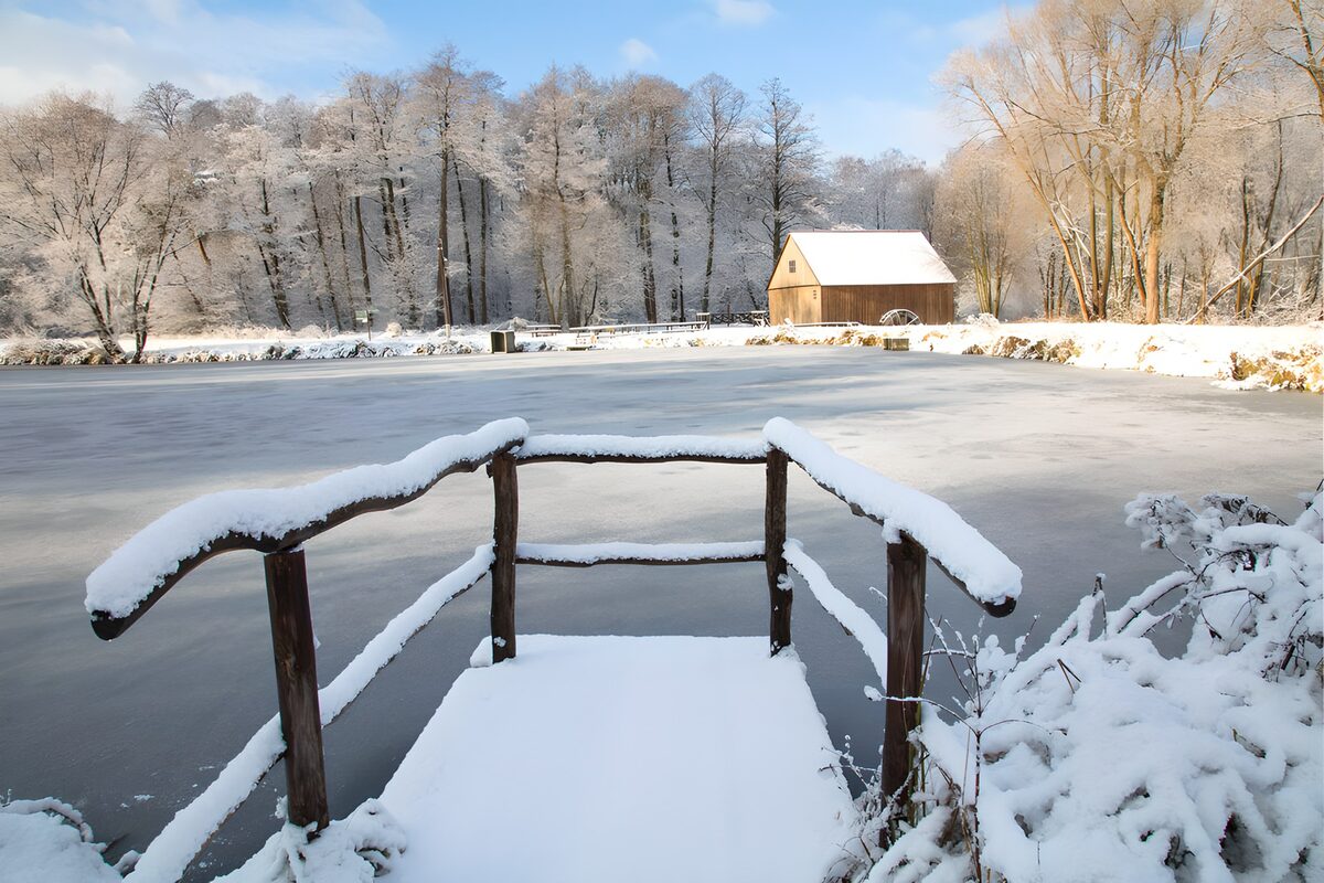 Scène hivernale au bord de l'étang