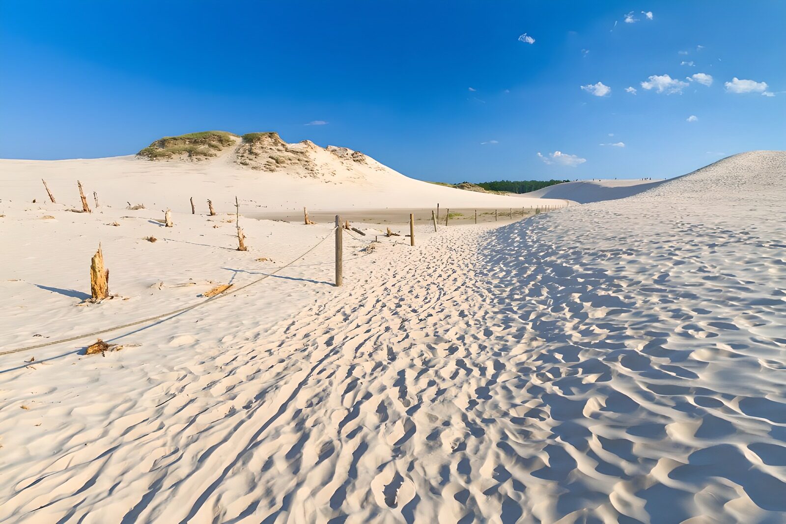 TPFR58194: Dunes de sable sous le ciel bleu