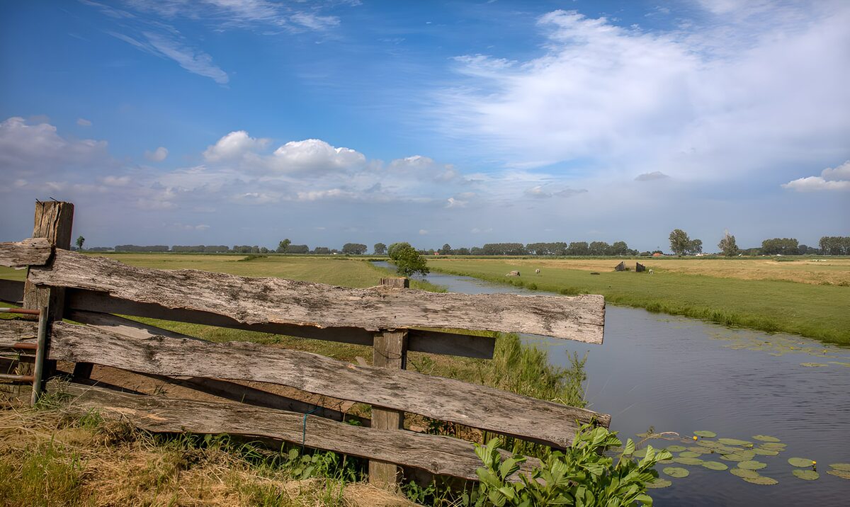 Paysage paisible près de l'eau