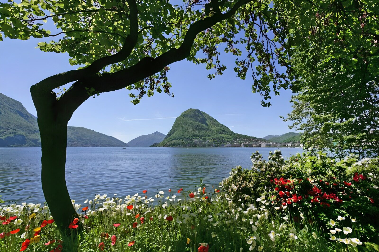 TPFR18853: : Paysage verdoyant au bord du lac