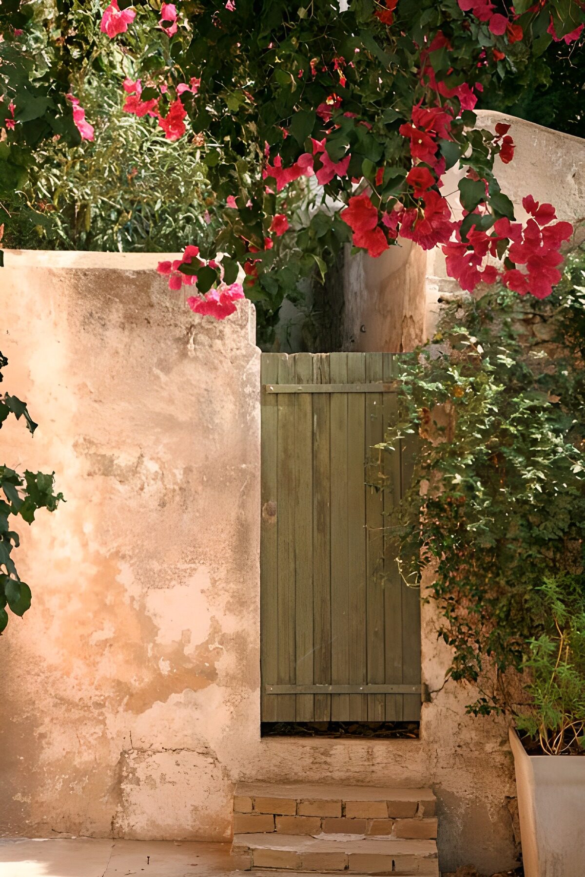 Porte en bois avec mur et fleurs 1