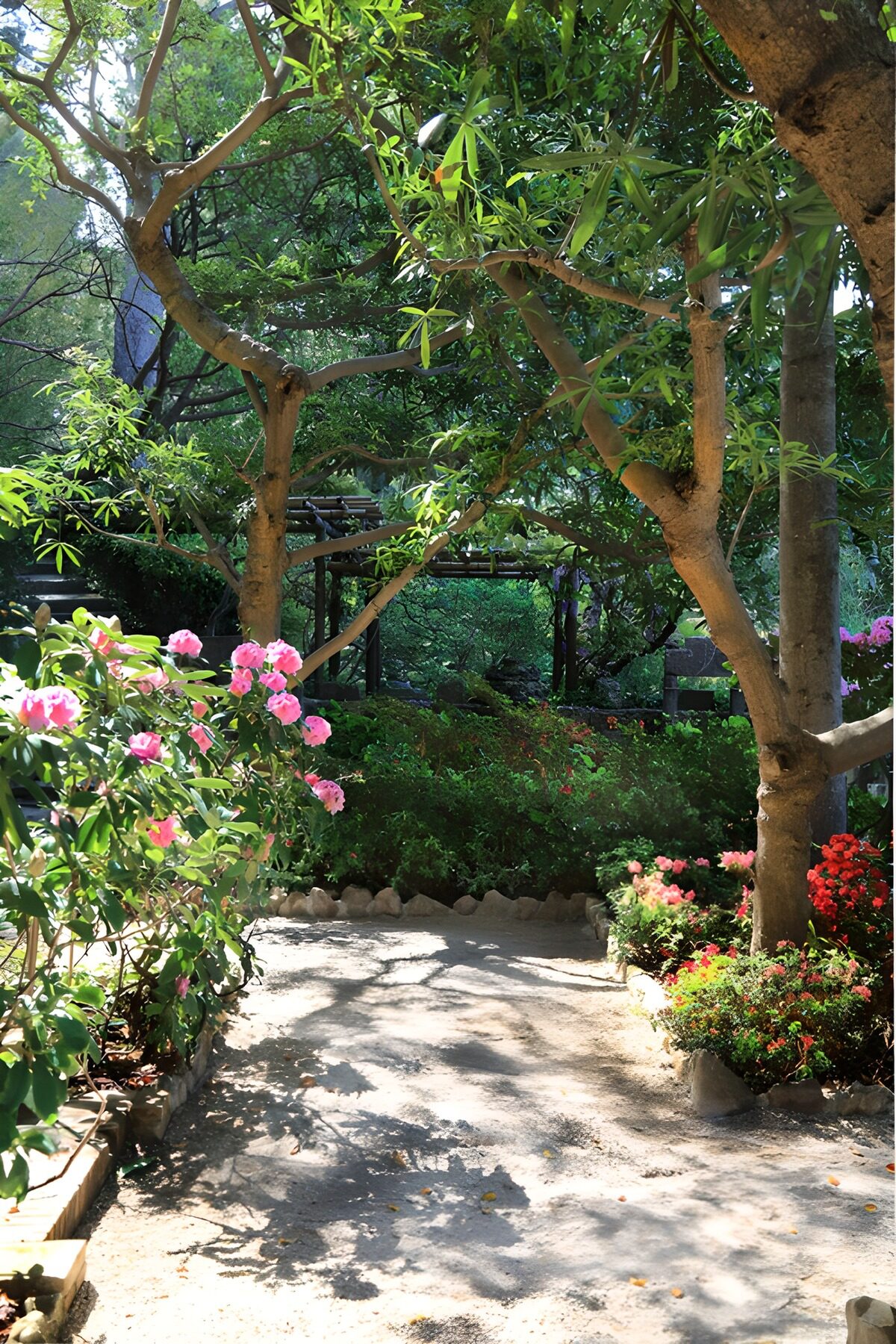 TPFR18158: Jardins fleuris sous les arbres
