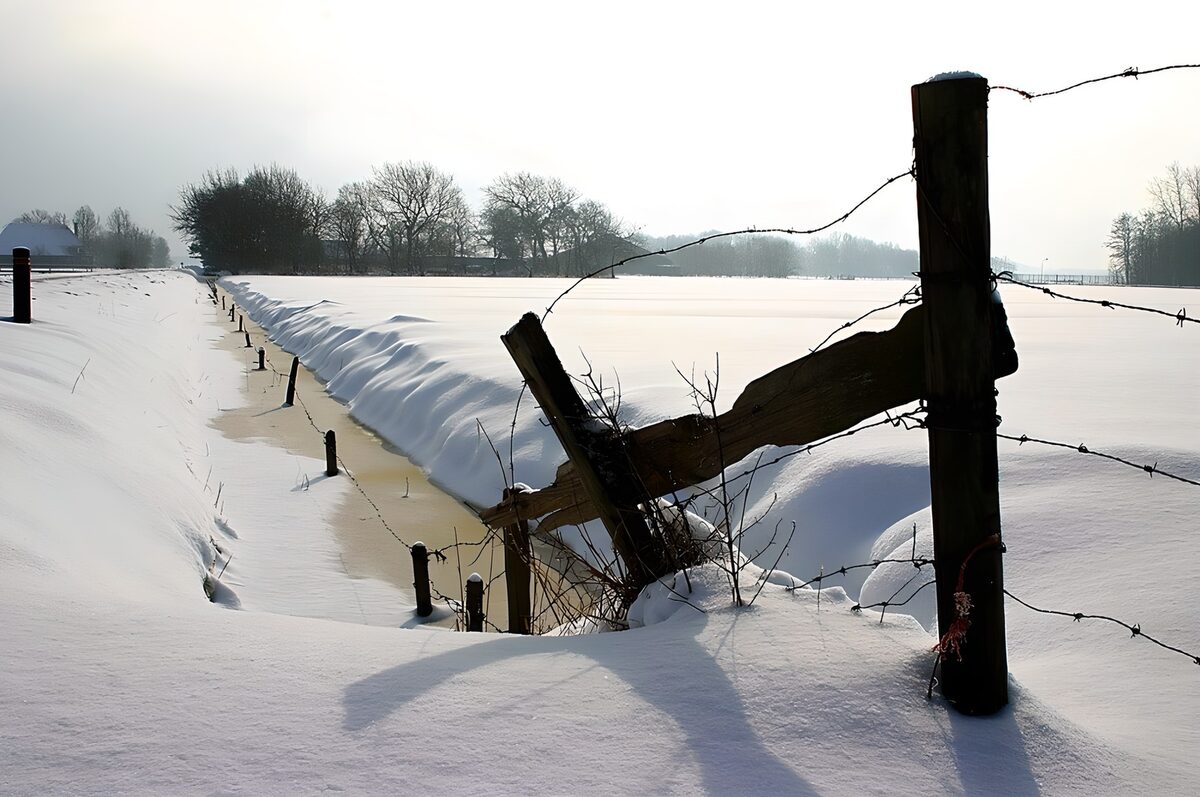 Paysage hivernal paisible