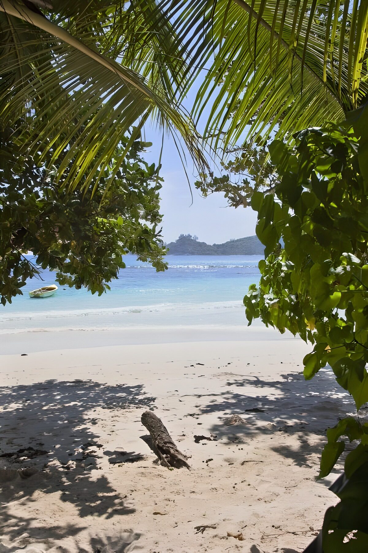 Plage paradisiaque sous les palmiers