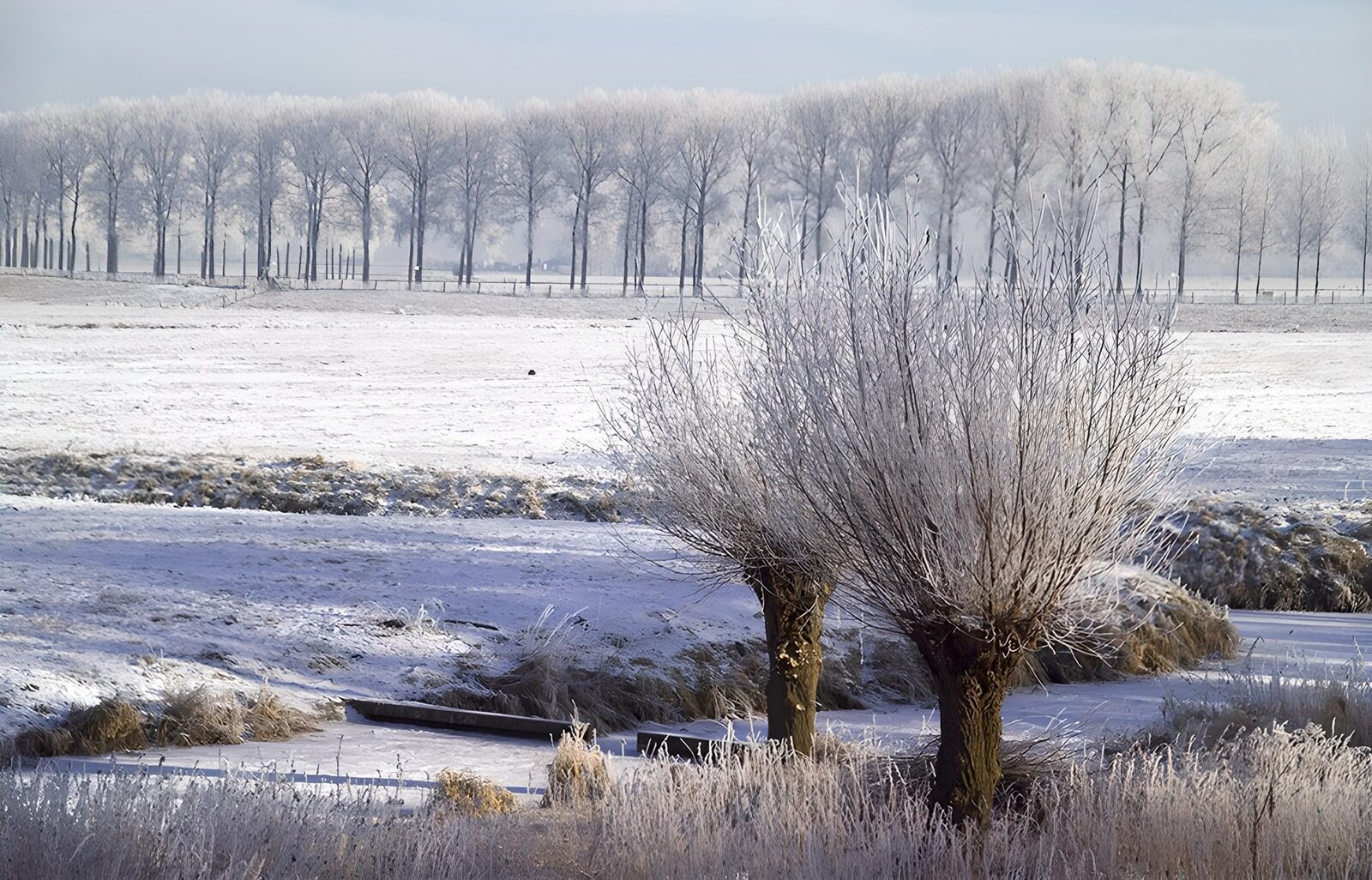 TPFR73336: Paysage hivernal paisible
