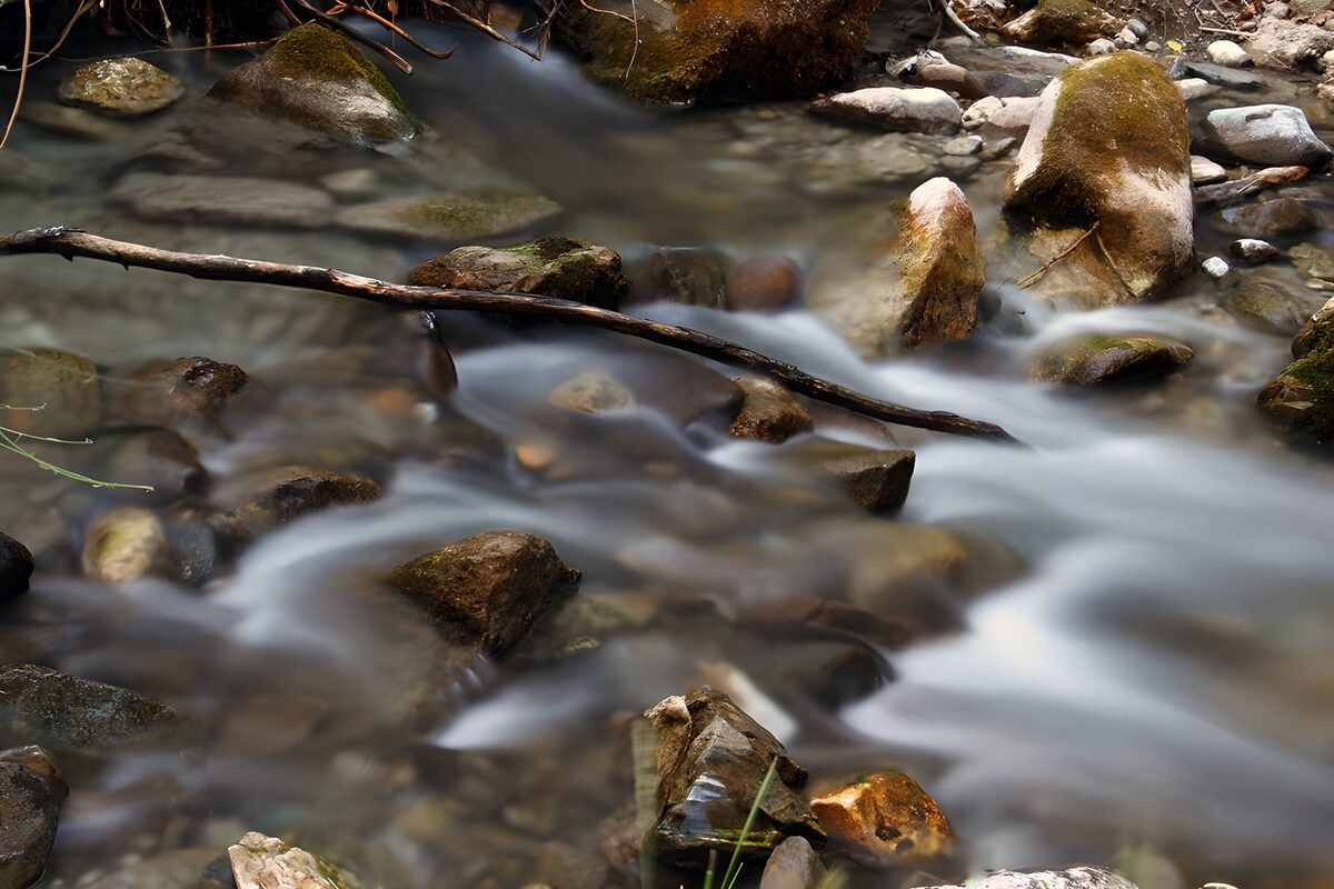 TPFR92008: Rivière paisible au milieu des pierres