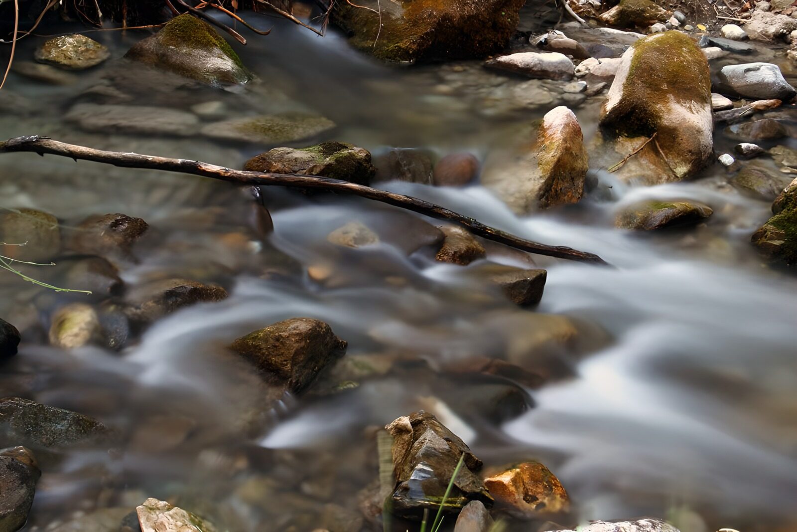 TPFR92008: Rivière paisible au milieu des pierres