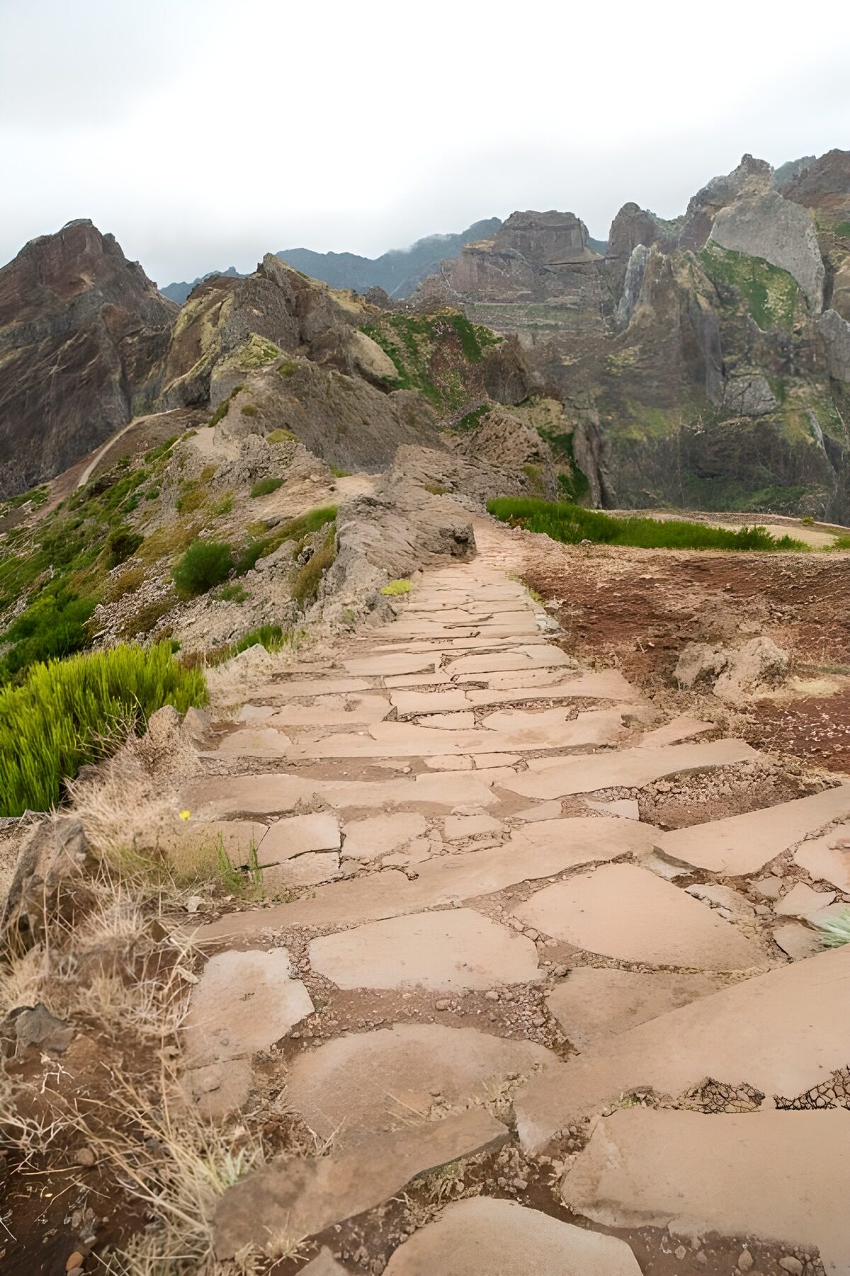 TPFR15013: Sentier de montagne à Madeire