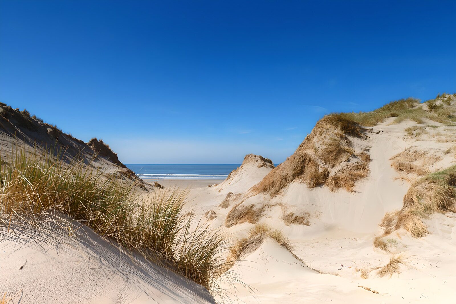 TPFR13291: Plage de dunes sous un ciel ensoleillé