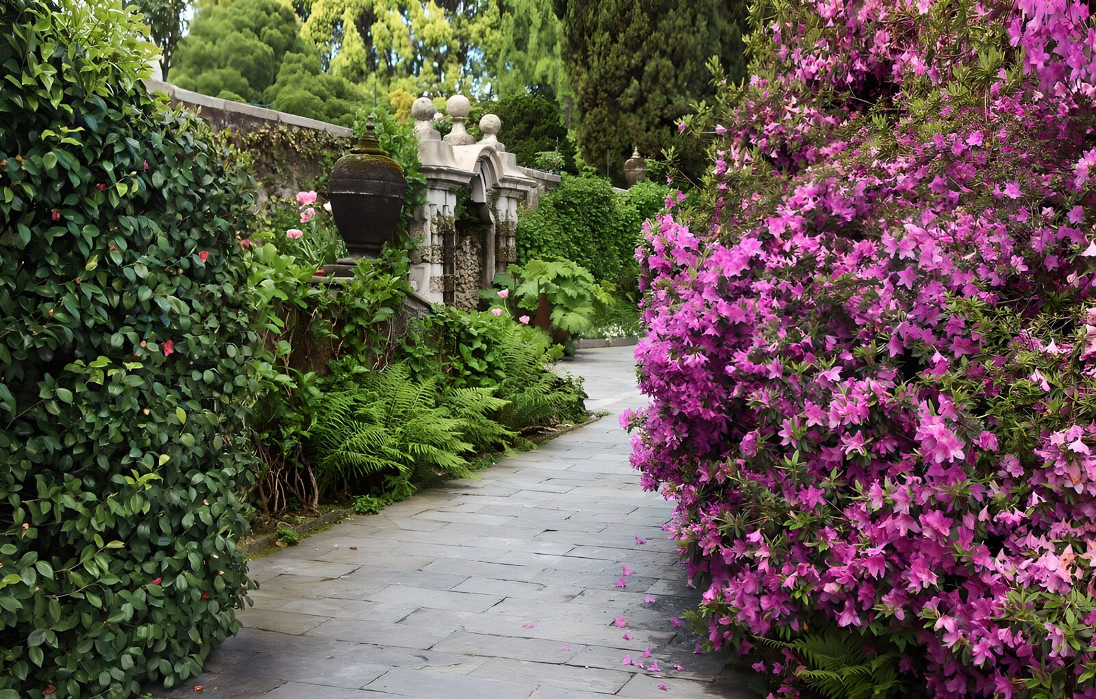 TPFR64963: Jardin fleuri paisible