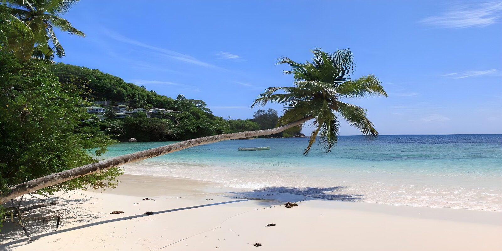 TPFR63148: Plage paradisiaque aux eaux turquoise