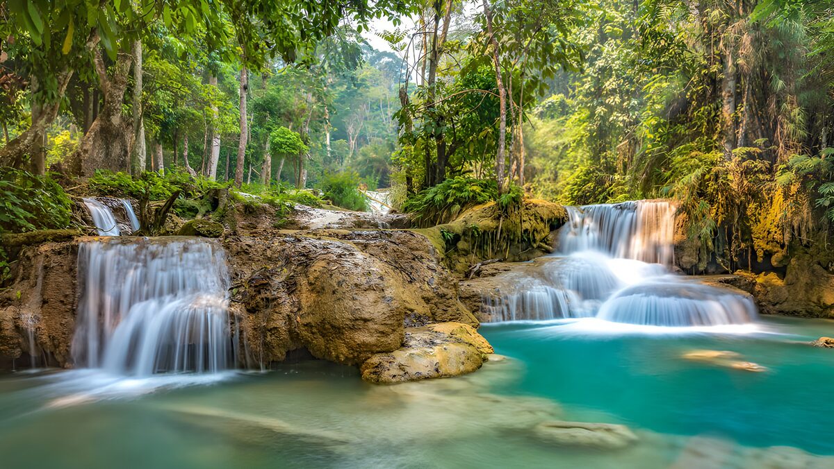 TPFR55739: Cascade enchantée au milieu de la forêt